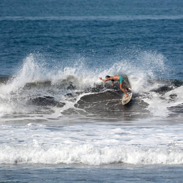 Molli Miller Surf Girls Molli Miller Surf Girls